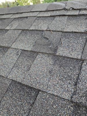 Linear Roofing & General Contractors