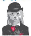 Country Charm Dog Grooming