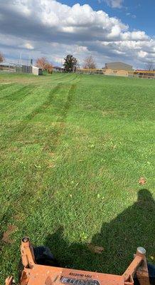 TLC Enterprize Lawn Tree And Hauling Services