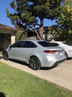 2020 Camry window tinting