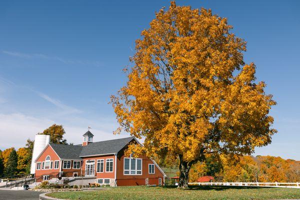 Fall is full of color and beauty at the barn.