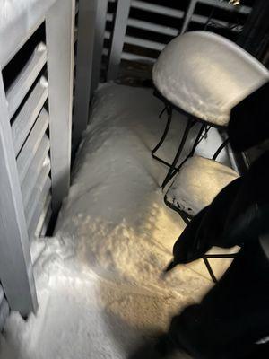 The Woods Resort & Spa