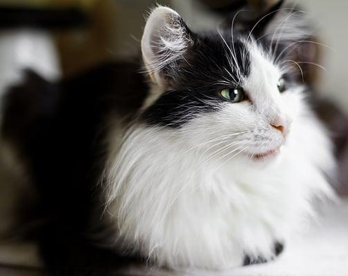 Don Rose Photography