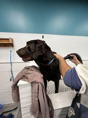 Self washing station