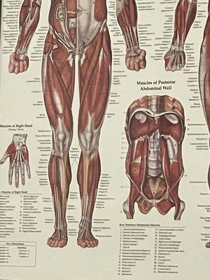 Axes Physical Therapy - O'Fallon, MO