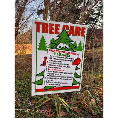 How to care for your tree