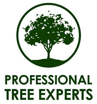 Professional Tree Experts