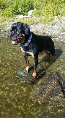 Crazy Horse Family Campground