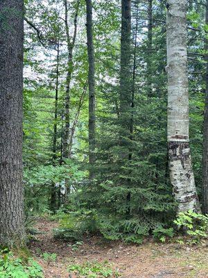 Widewaters Campground