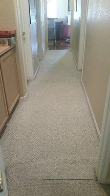 Sunrise Carpet & Upholstery Cleaning
