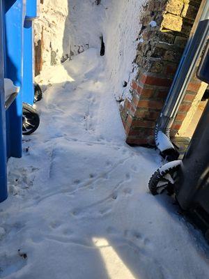 Easy Way Pest Control