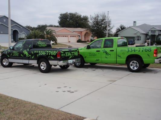 Green Lizard Lawn Care