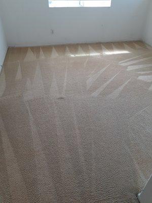 Pro Clean Carpet and Tile Cleaning