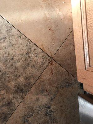 Maid Right of Greater Fort Worth