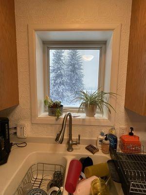 The kitchen "pop out" window with some plants on it.