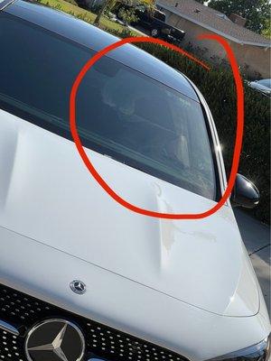 The Auto Detail Guys