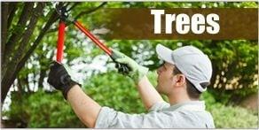 Skyline Tree Services