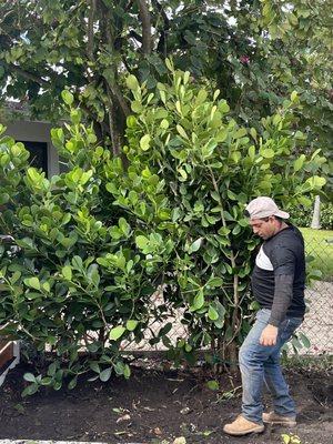 Jose G Mendoza Moreno