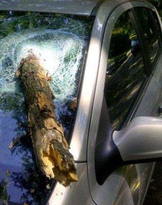 Lloyd's Of Shelton Auto Glass