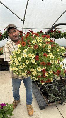 Peru Greenhouses & Landscaping