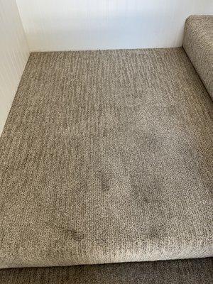 Ezee Carpet & Floor Cleaning