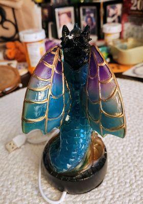 The lighted dragon I brought