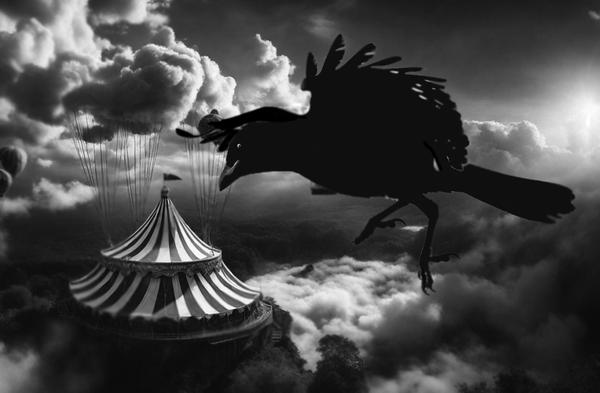 Crawford's Attractions