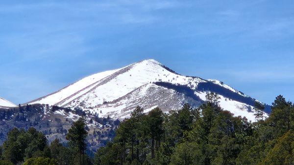 Shane Zimmerman - Fathom Realty