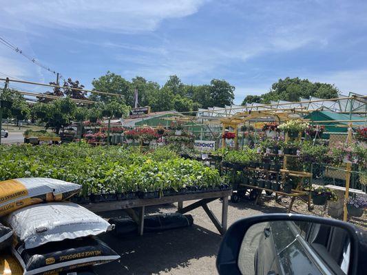 Dutch and Olgas Greenhouses