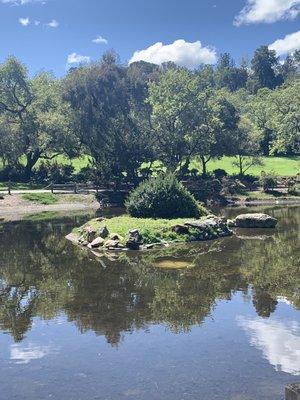 Suzanne Scott - Compass