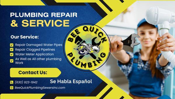 Bee Quick Plumbing & Sewer - Naperville