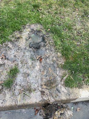 Leak prior repair (damaged clean out line 5' underground)