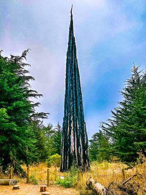 Andy Goldsworthy's Spire