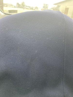 White dingy hairs all over the sweatpants