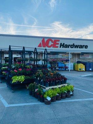 Ace Hardware