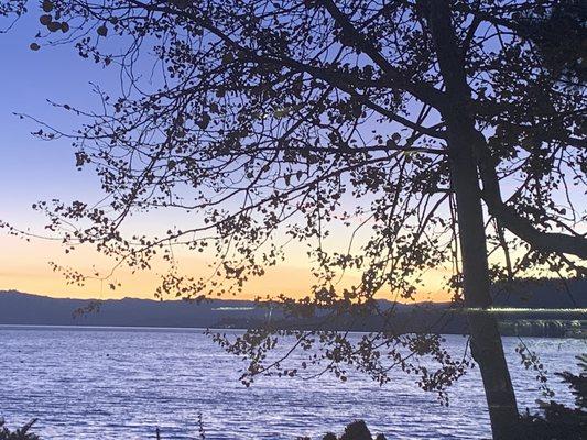 Alison H Brooks, LMFT