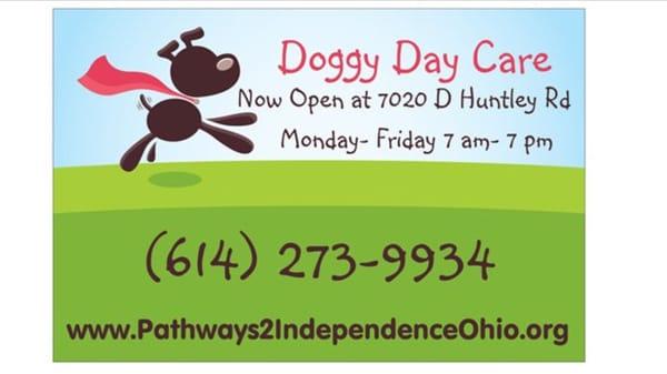 Dog Day Care- Pathways to Independence