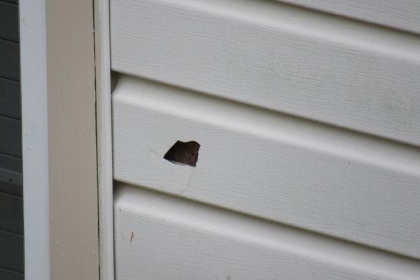 A hole, otherwise known as the RAINTREE COMMUNITY ASSOCIATION.