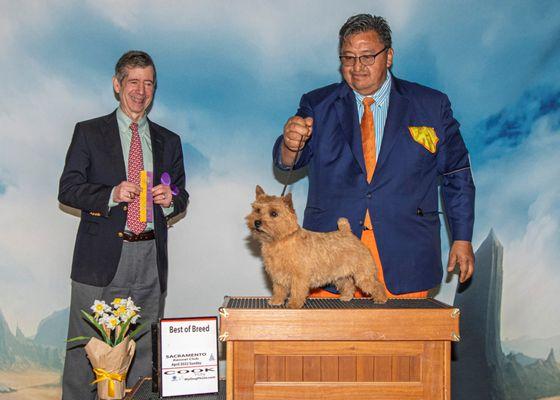 Fancy Paws is the official shower shop of the American Champion - "LILA"