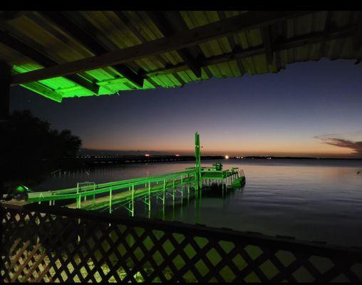 Fish from our pier day or night
