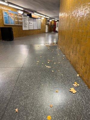 Bowdoin MBTA Station - Blue Line