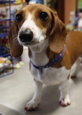 Sallie hopes that you will come and visit us soon!