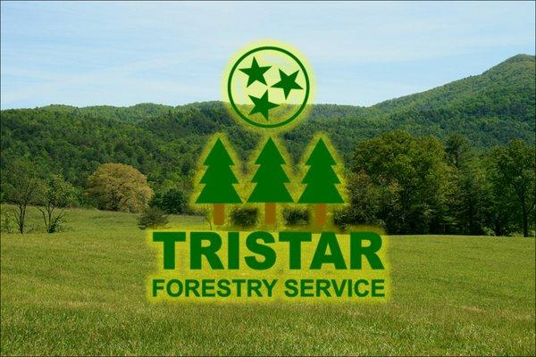 Tristar Forestry Service