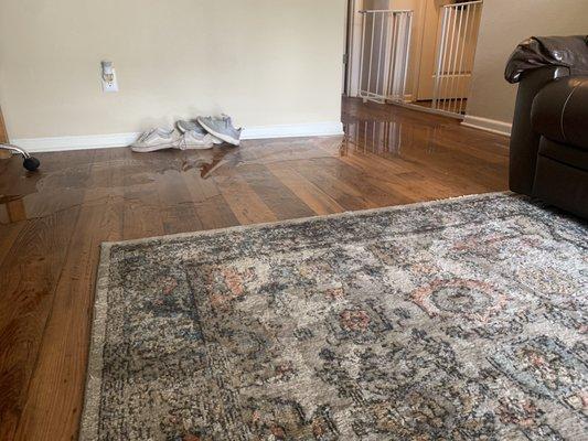 The View at Mandarin Apartment Homes