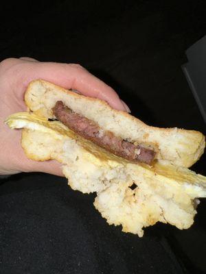 Who wants worms?! Not me!