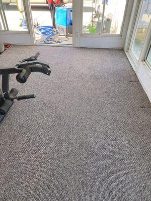Al's Affordable Carpet Cleaning