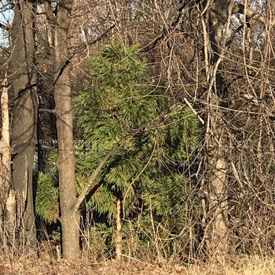 New Bridge Landing Station