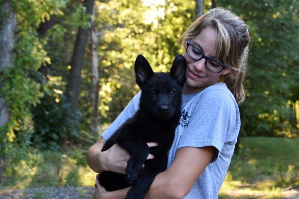 Dream Dog New England