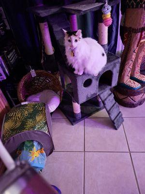 Pearl River Veterinary Hospital