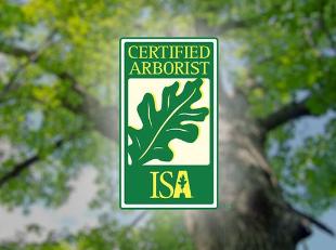 California Ecology Arborists